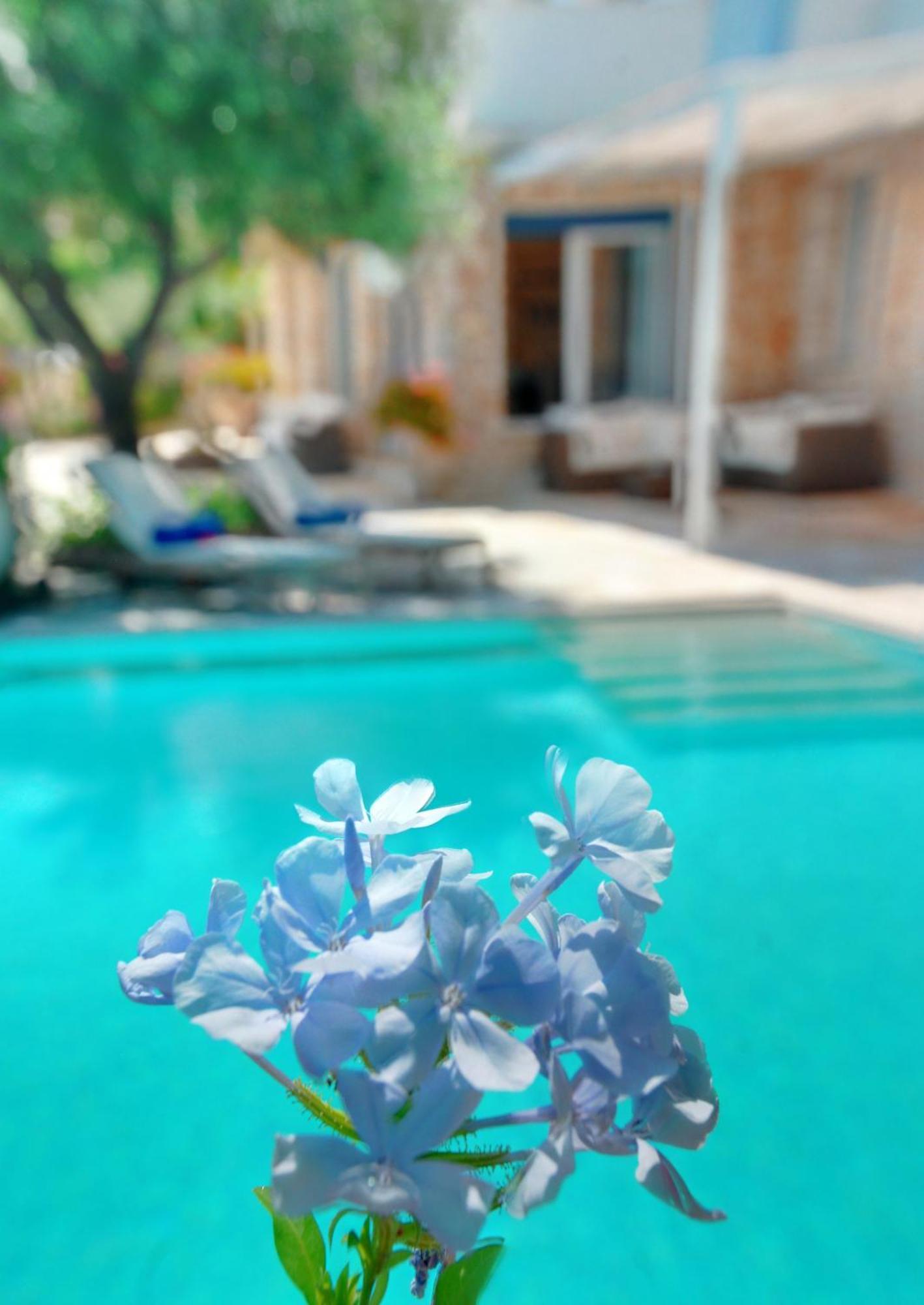 Corfu Luxury Villas Barbati Quarto foto